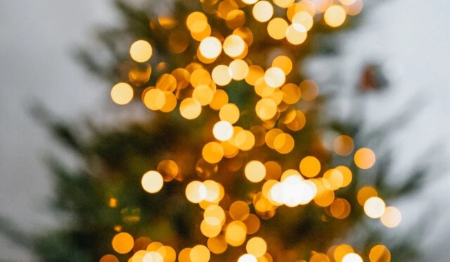 Ayvalık'ta Yılbaşı Kutlamalarının En İyi Adresi Hangi Oteller? 1 Ayvalikta-yilbasi-otelleri-f852db5ca6b374b4e064e1051b655d1a