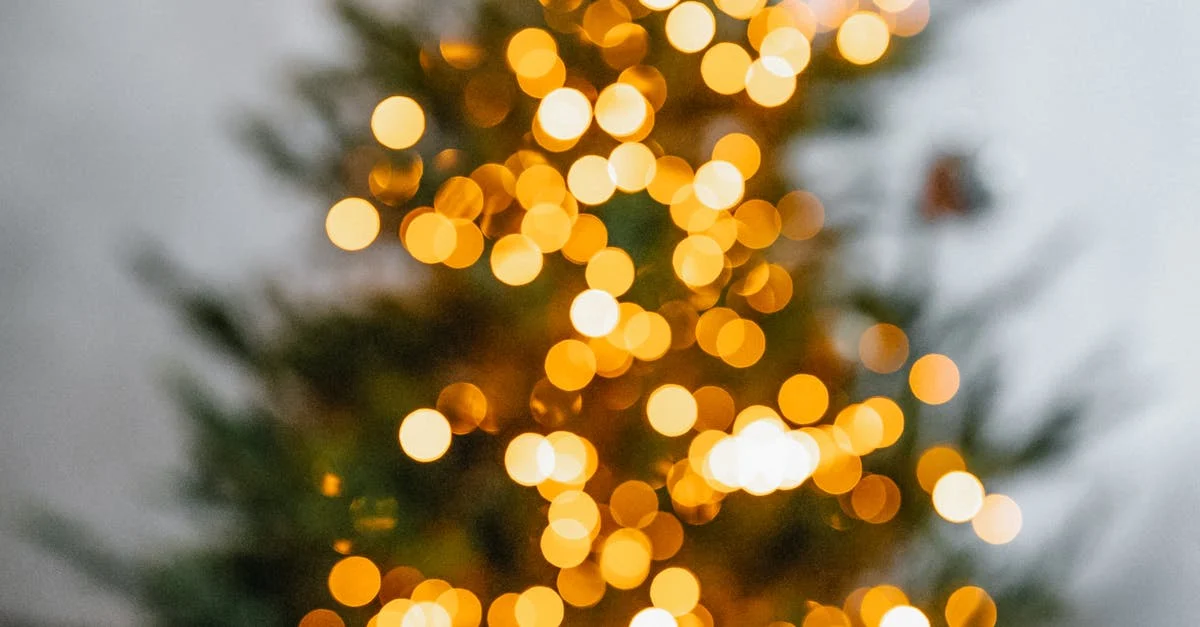 Ayvalık’ta Yılbaşı Kutlamalarının En İyi Adresi Hangi Oteller?